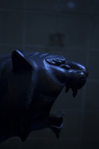 http://peterwaterschoot.com:443/files/gimgs/th-18_3C472dpi.jpg