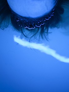 http://peterwaterschoot.com:443/files/gimgs/th-18_blue.jpg